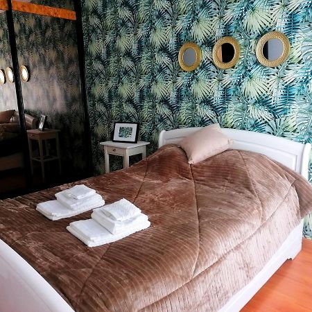 Cocoon Guest House Vendas Novas Kültér fotó
